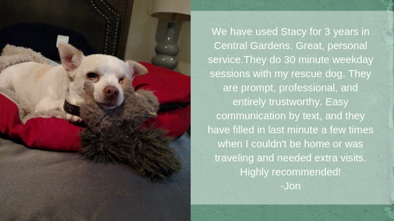 We have used Stacy for 3 years in Central Gardens. Great, personal service. They do 30 minute weekday sessions with my rescue dog. They are prompt, professional, and entirely trustworthy. Easy communication by text, and they have filled in last minute a few times when I couldn't be home or was traveling and needed extra visits. Highly recommended! -Jon
