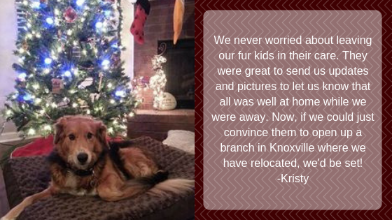 We never worried about leaving our fur kids in their care. They were great to send us updates and pictures to let us know that all was well at home while we were away. Now, if we could just convince them to open up a branch in Knoxville where we have relocated, we'd be set! -Kristy